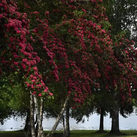 Ilmatsalu Motell * Ilmatsalu