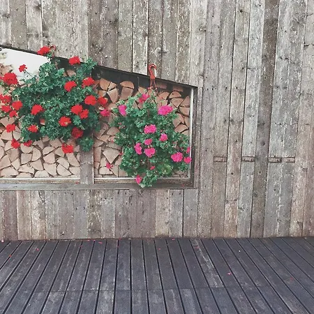 Ilmatsalu Motell Penzion