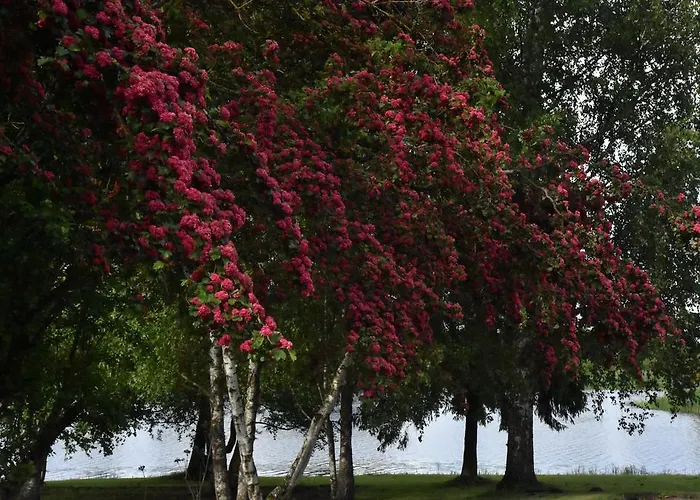 Ilmatsalu Motell * Ilmatsalu