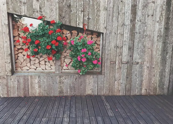 Ilmatsalu Motell Majutusasutus