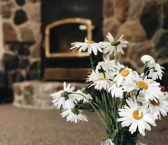 Ilmatsalu Motell Majutusasutus *