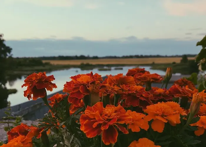 Ilmatsalu Motell Penzion